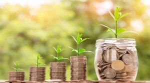 A representation showing coins growing as the success of your SEO campaign grows, leading to more revenue.